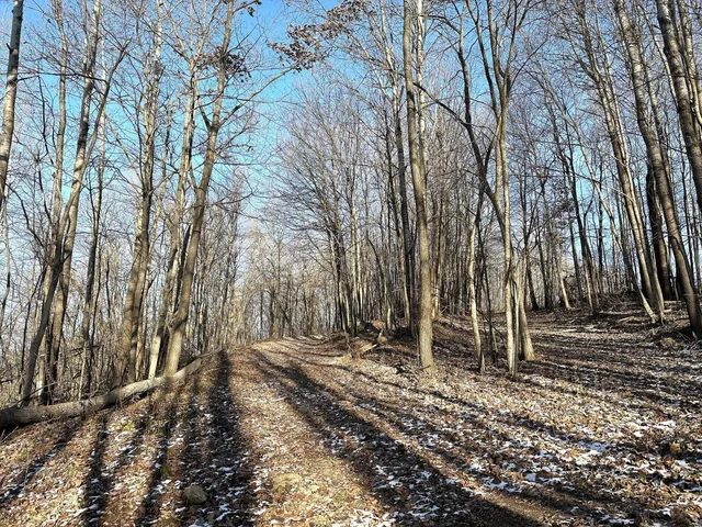 $1,050,000 | 46113 Sand Creek Road, Gays Mills, WI 54631