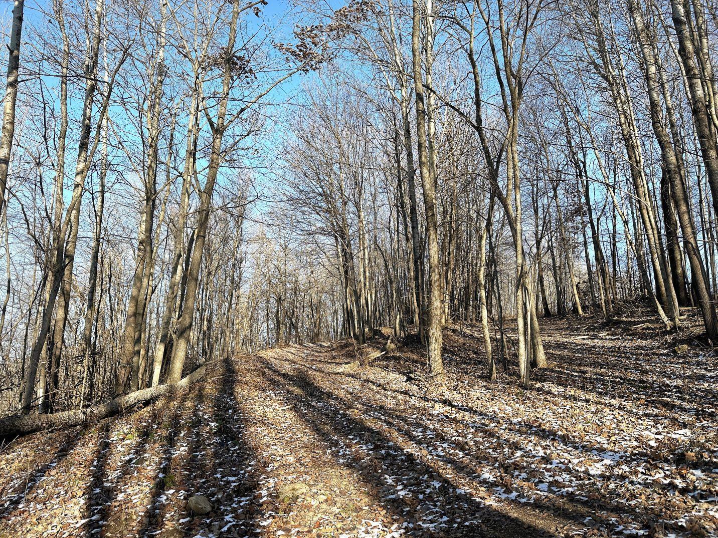 46113 Sand Creek Road Gays Mills, WI 54631 - Photo 29 of 49