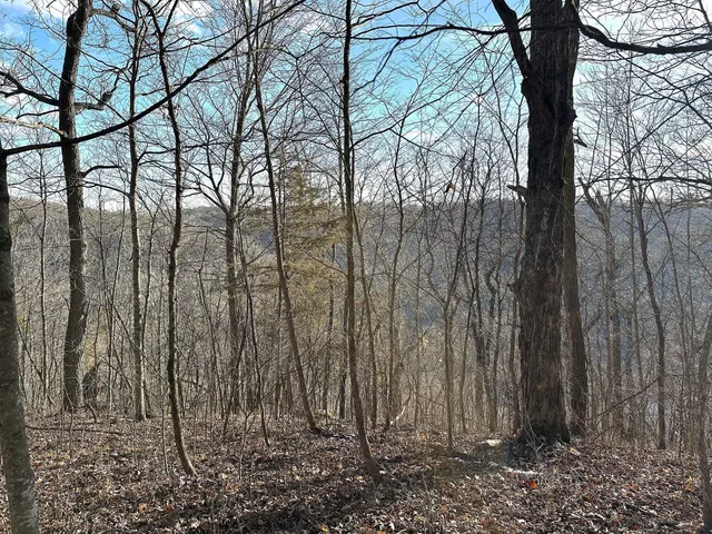 $1,050,000 | 46113 Sand Creek Road, Gays Mills, WI 54631