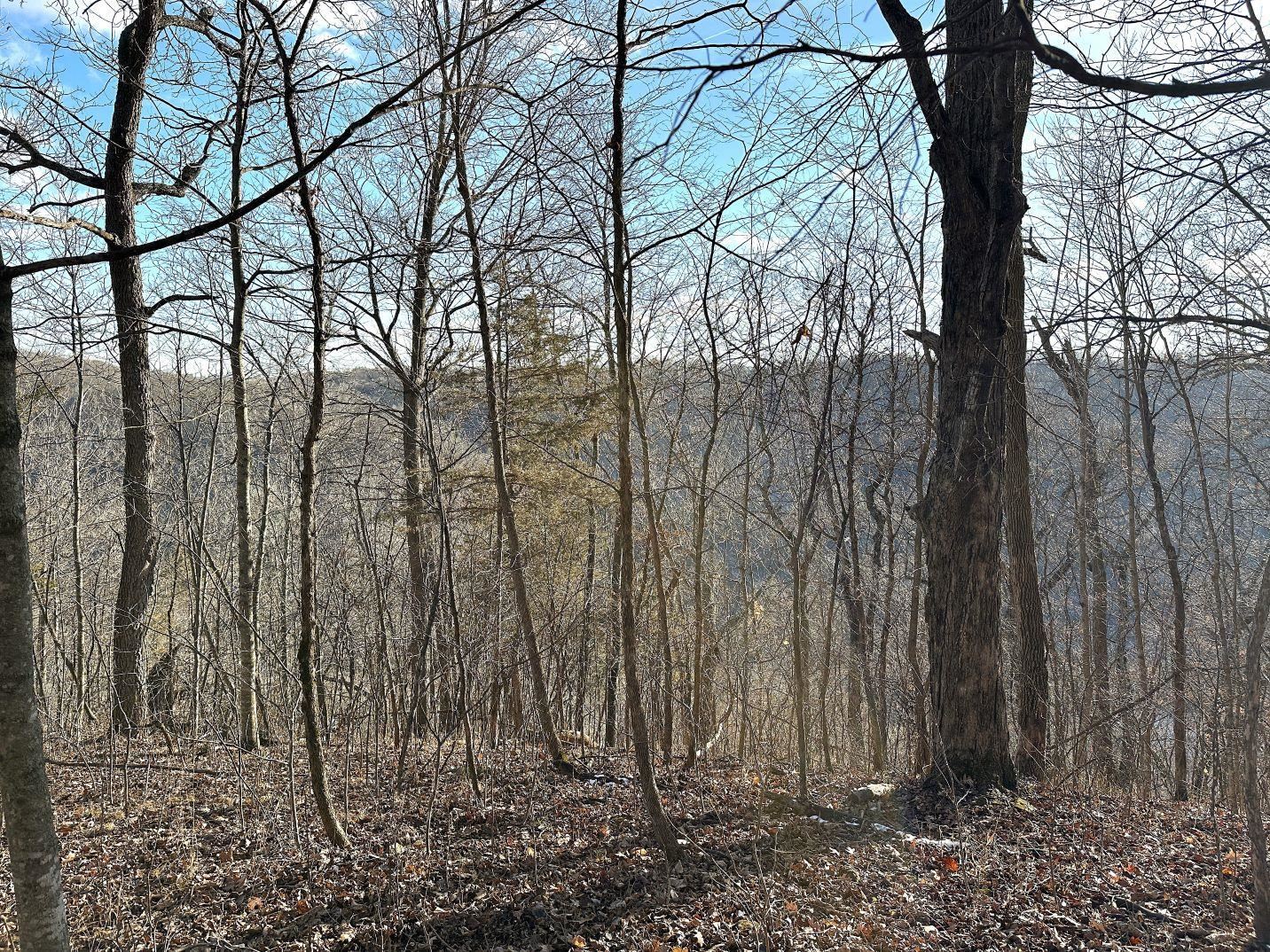 46113 Sand Creek Road Gays Mills, WI 54631 - Photo 31 of 49