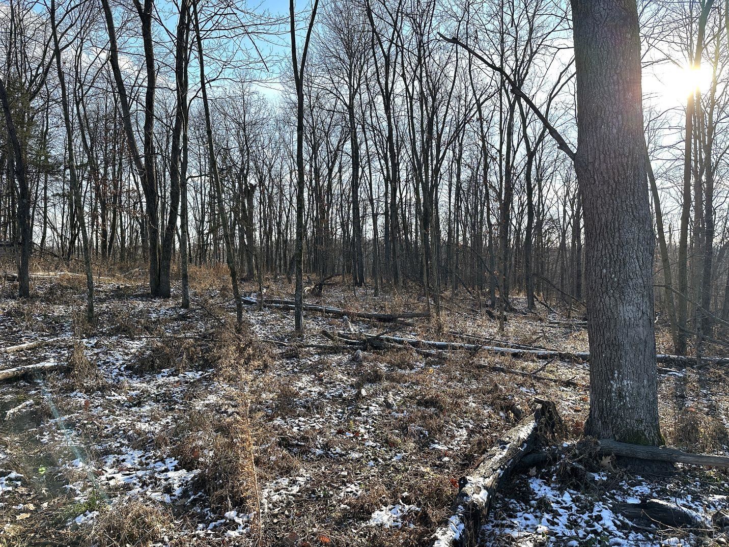 46113 Sand Creek Road Gays Mills, WI 54631 - Photo 32 of 49