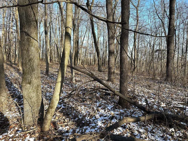 $1,050,000 | 46113 Sand Creek Road, Gays Mills, WI 54631