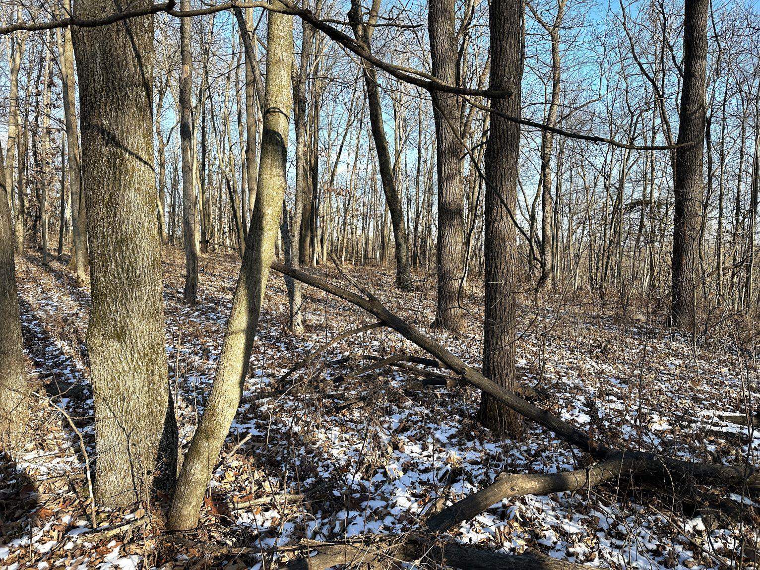 46113 Sand Creek Road Gays Mills, WI 54631 - Photo 33 of 49