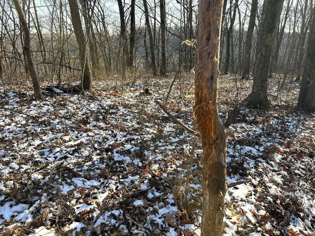 $1,050,000 | 46113 Sand Creek Road, Gays Mills, WI 54631