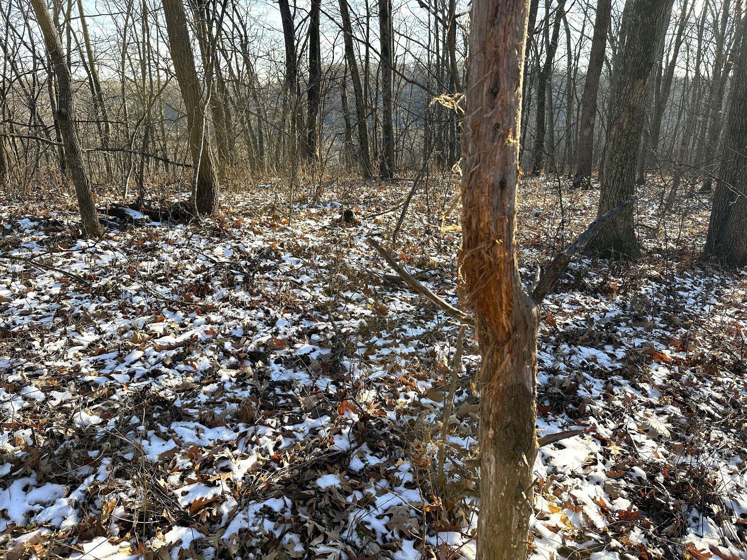 46113 Sand Creek Road Gays Mills, WI 54631 - Photo 34 of 49