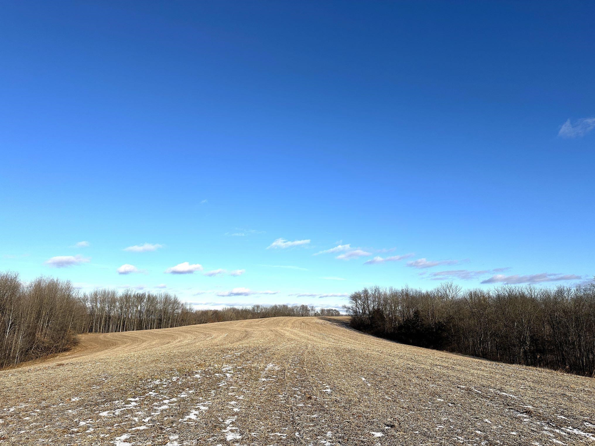 46113 Sand Creek Road Gays Mills, WI 54631 - Photo 35 of 49