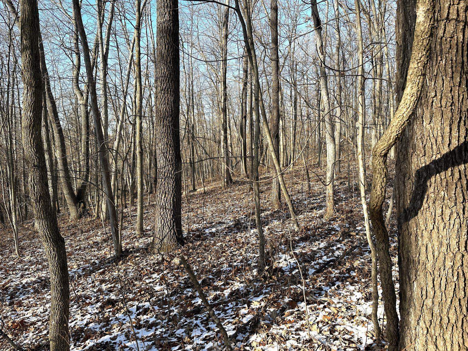 46113 Sand Creek Road Gays Mills, WI 54631 - Photo 37 of 49