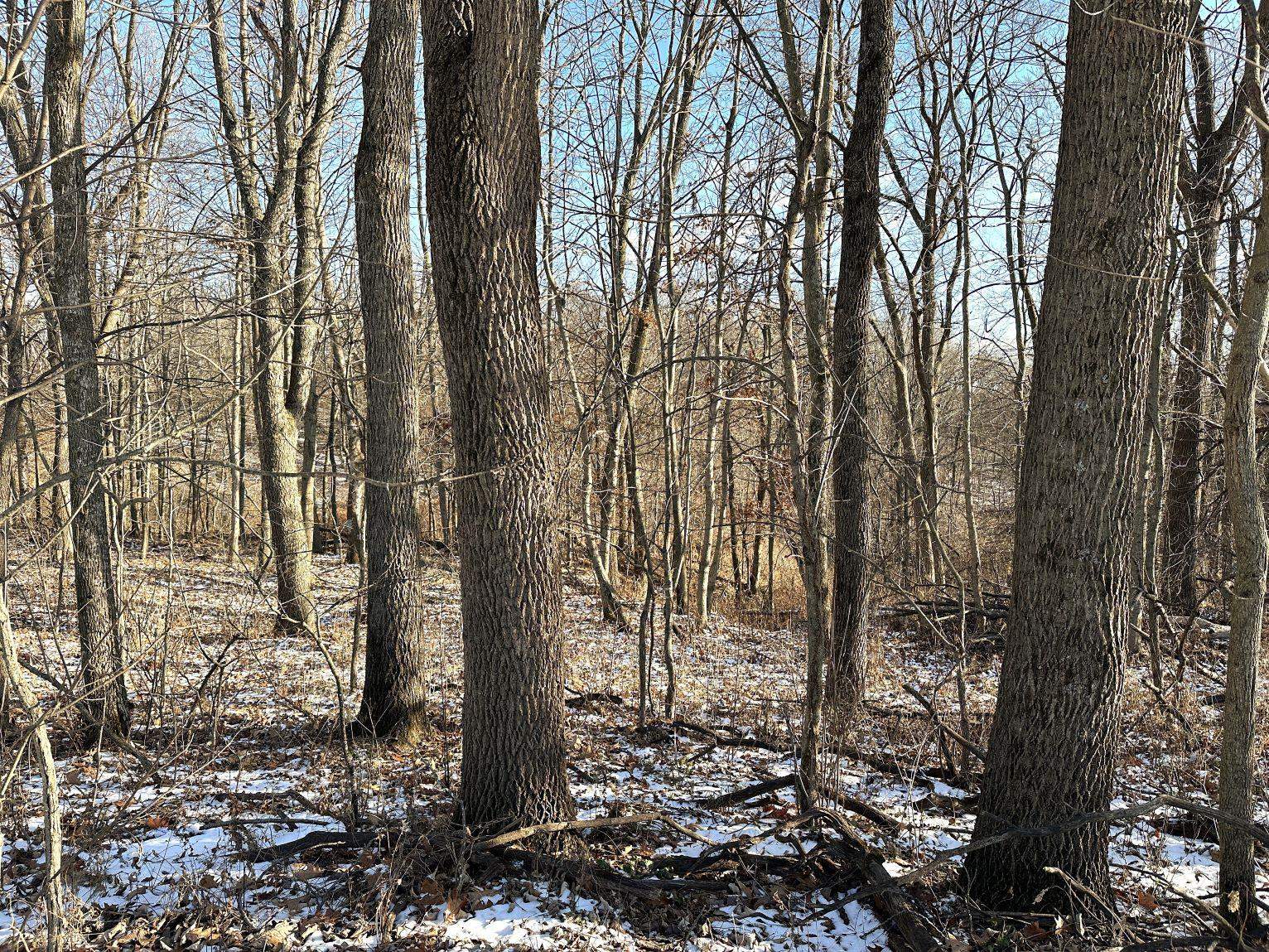 46113 Sand Creek Road Gays Mills, WI 54631 - Photo 38 of 49