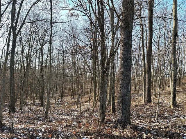 $1,050,000 | 46113 Sand Creek Road, Gays Mills, WI 54631