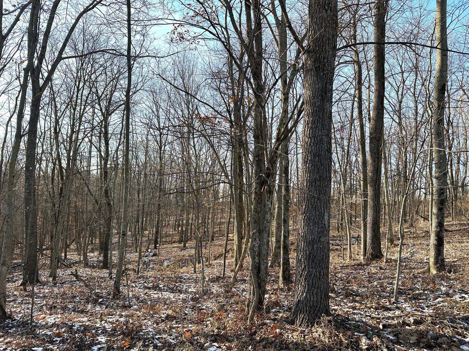 46113 Sand Creek Road Gays Mills, WI 54631 - Photo 39 of 49