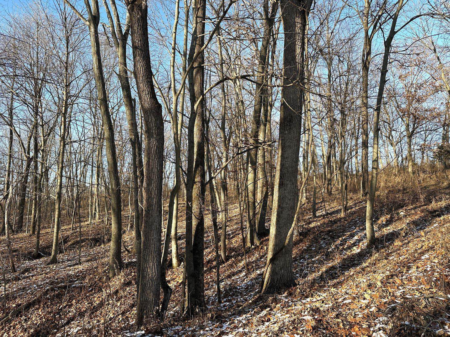 46113 Sand Creek Road Gays Mills, WI 54631 - Photo 40 of 49