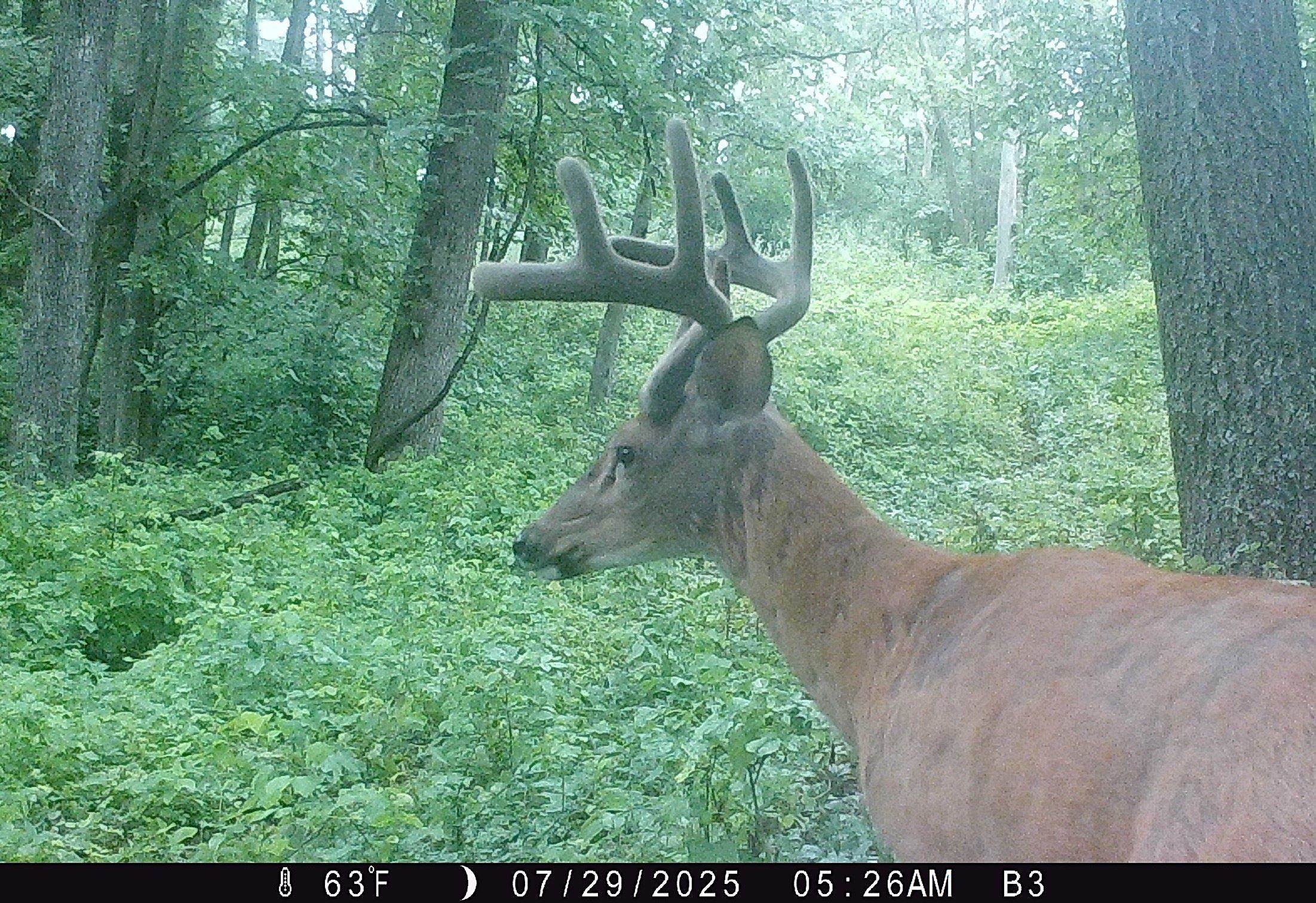 46113 Sand Creek Road Gays Mills, WI 54631 - Photo 41 of 49