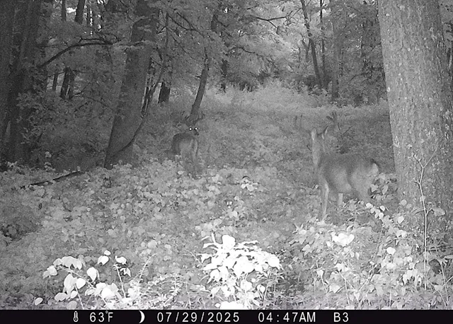 $1,050,000 | 46113 Sand Creek Road, Gays Mills, WI 54631