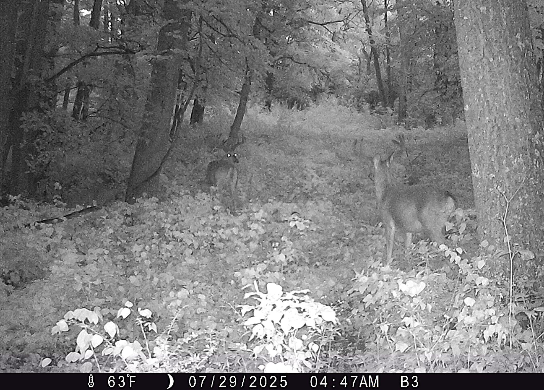 46113 Sand Creek Road Gays Mills, WI 54631 - Photo 42 of 49