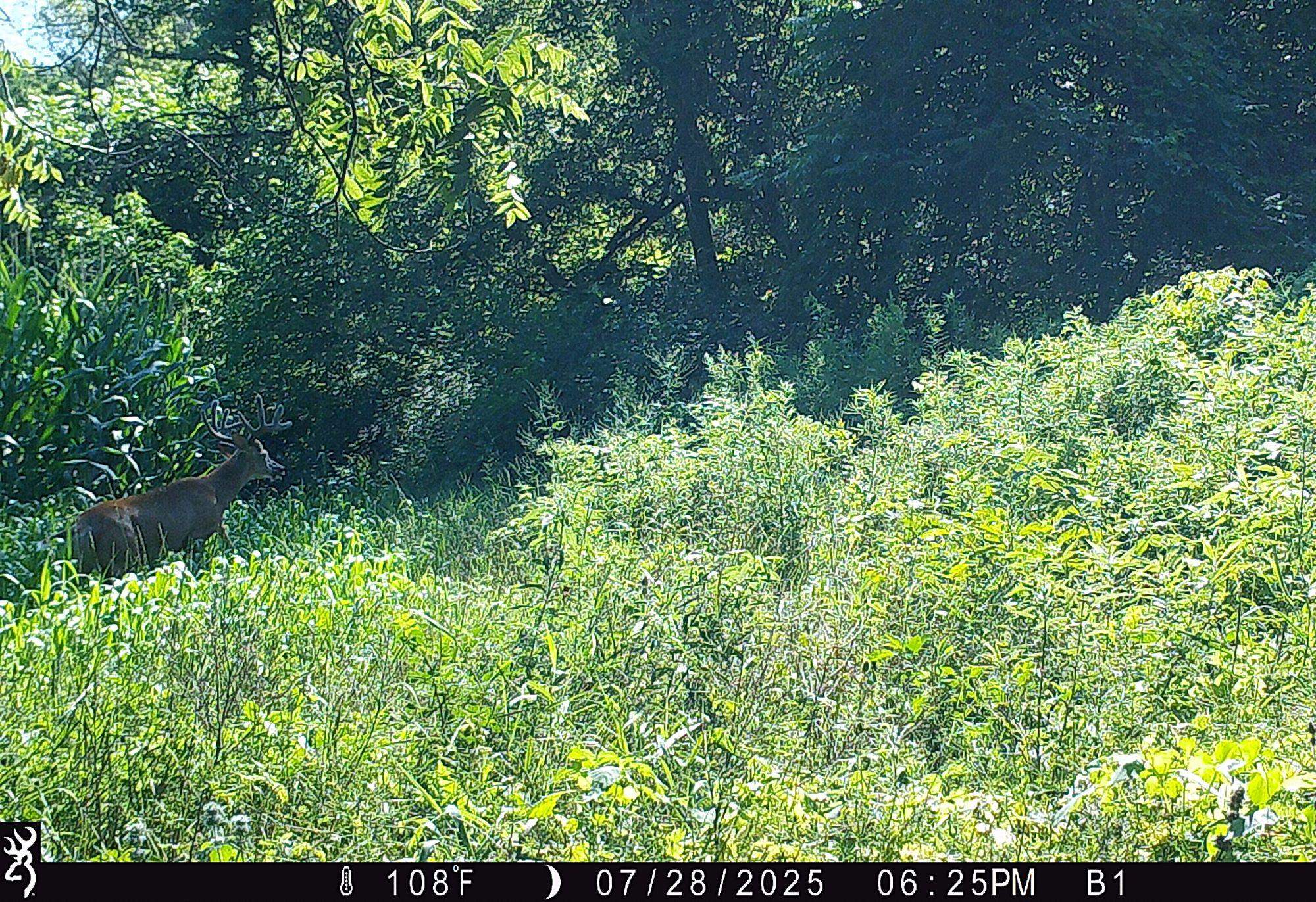 46113 Sand Creek Road Gays Mills, WI 54631 - Photo 43 of 49