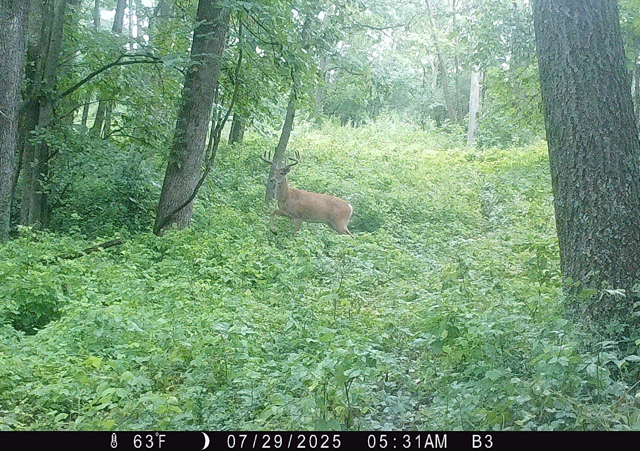 46113 Sand Creek Road Gays Mills, WI 54631 - Photo 44 of 49