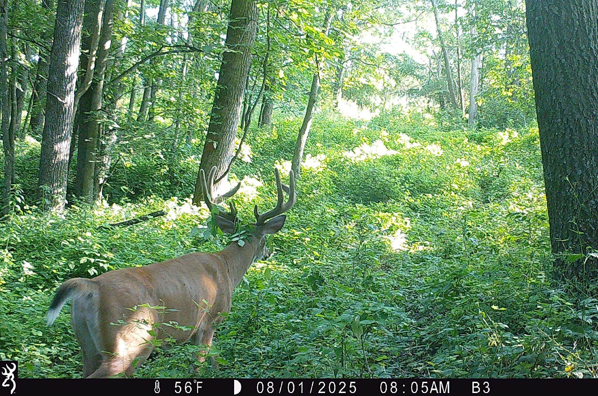 46113 Sand Creek Road Gays Mills, WI 54631 - Photo 45 of 49