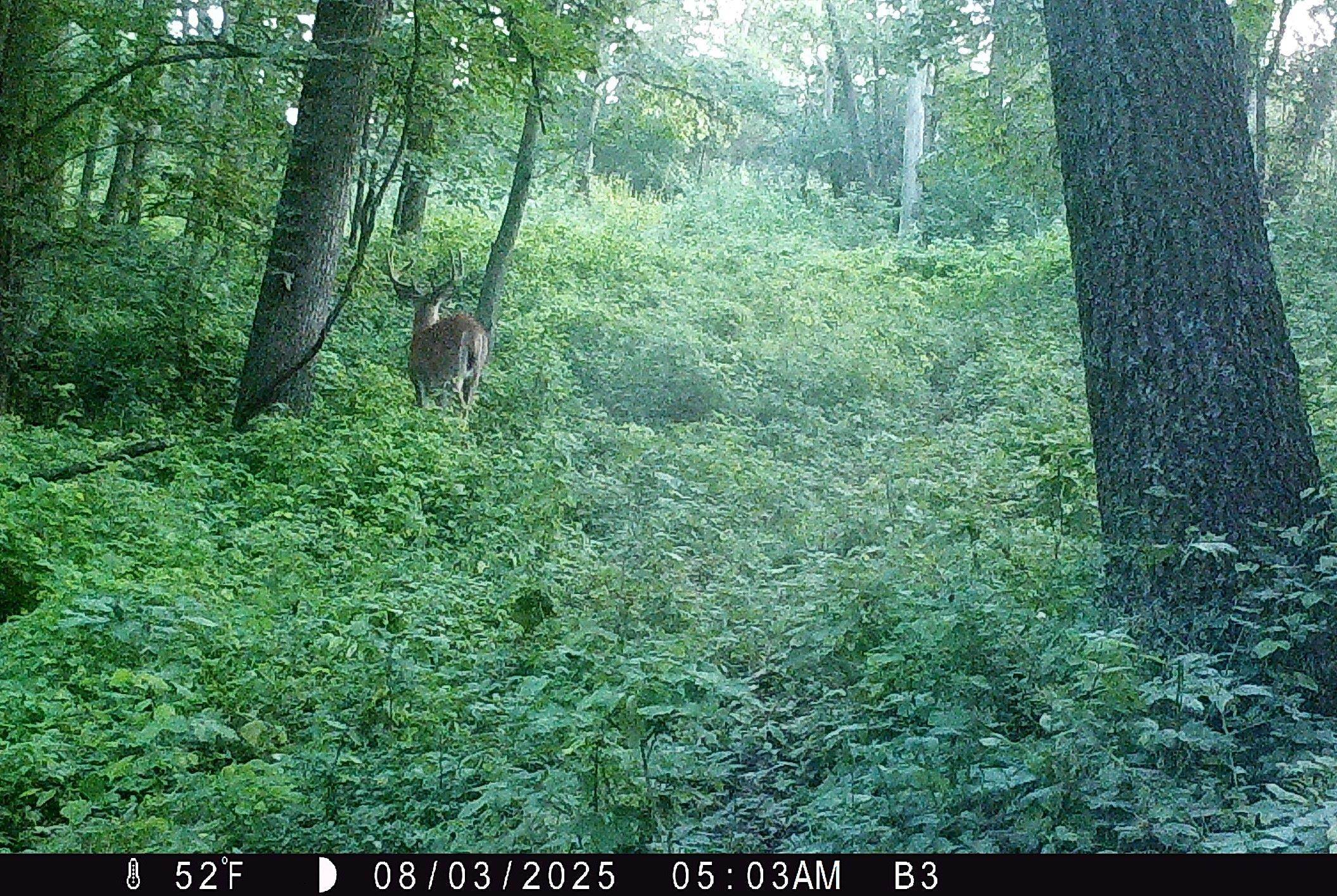 46113 Sand Creek Road Gays Mills, WI 54631 - Photo 47 of 49