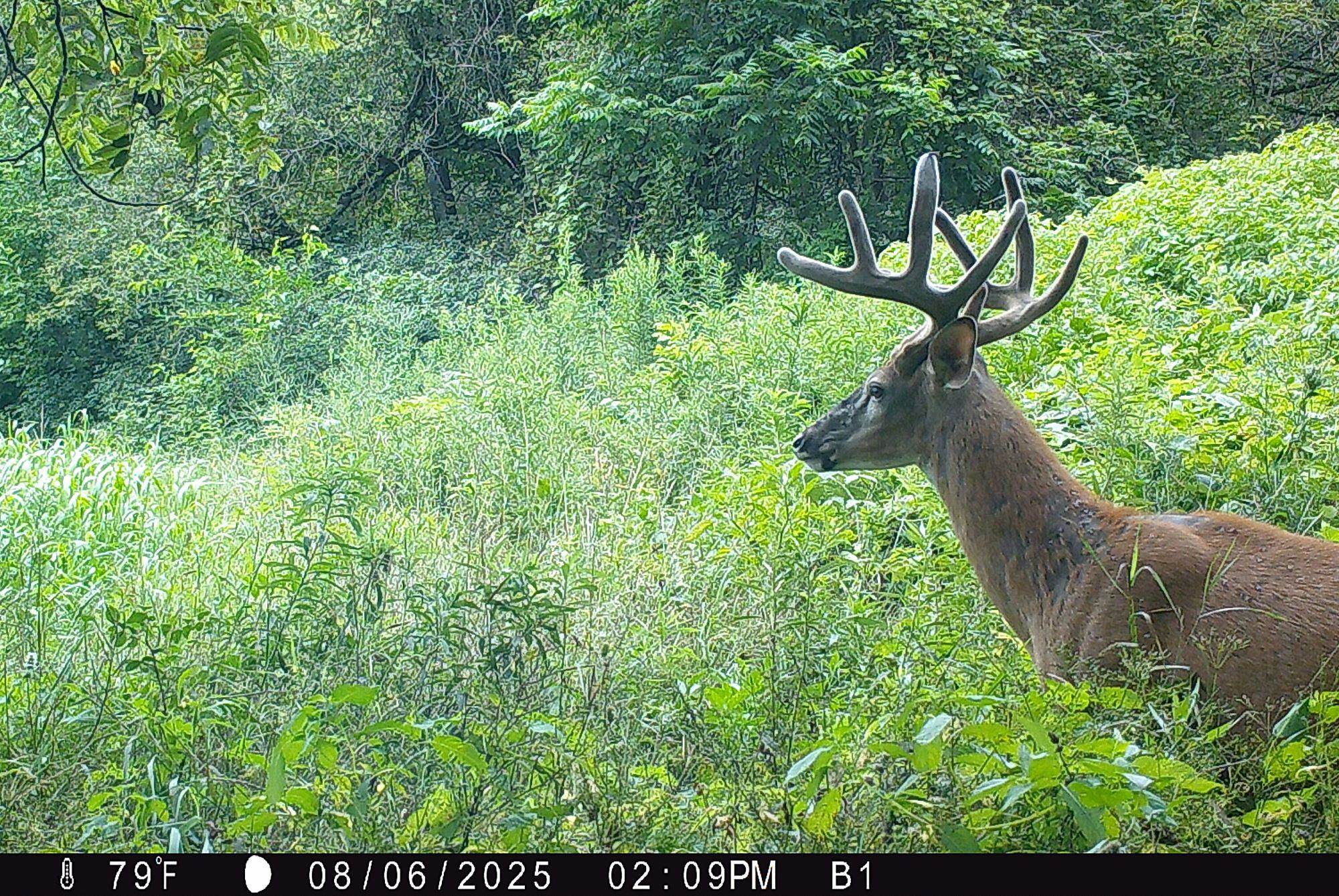 46113 Sand Creek Road Gays Mills, WI 54631 - Photo 48 of 49