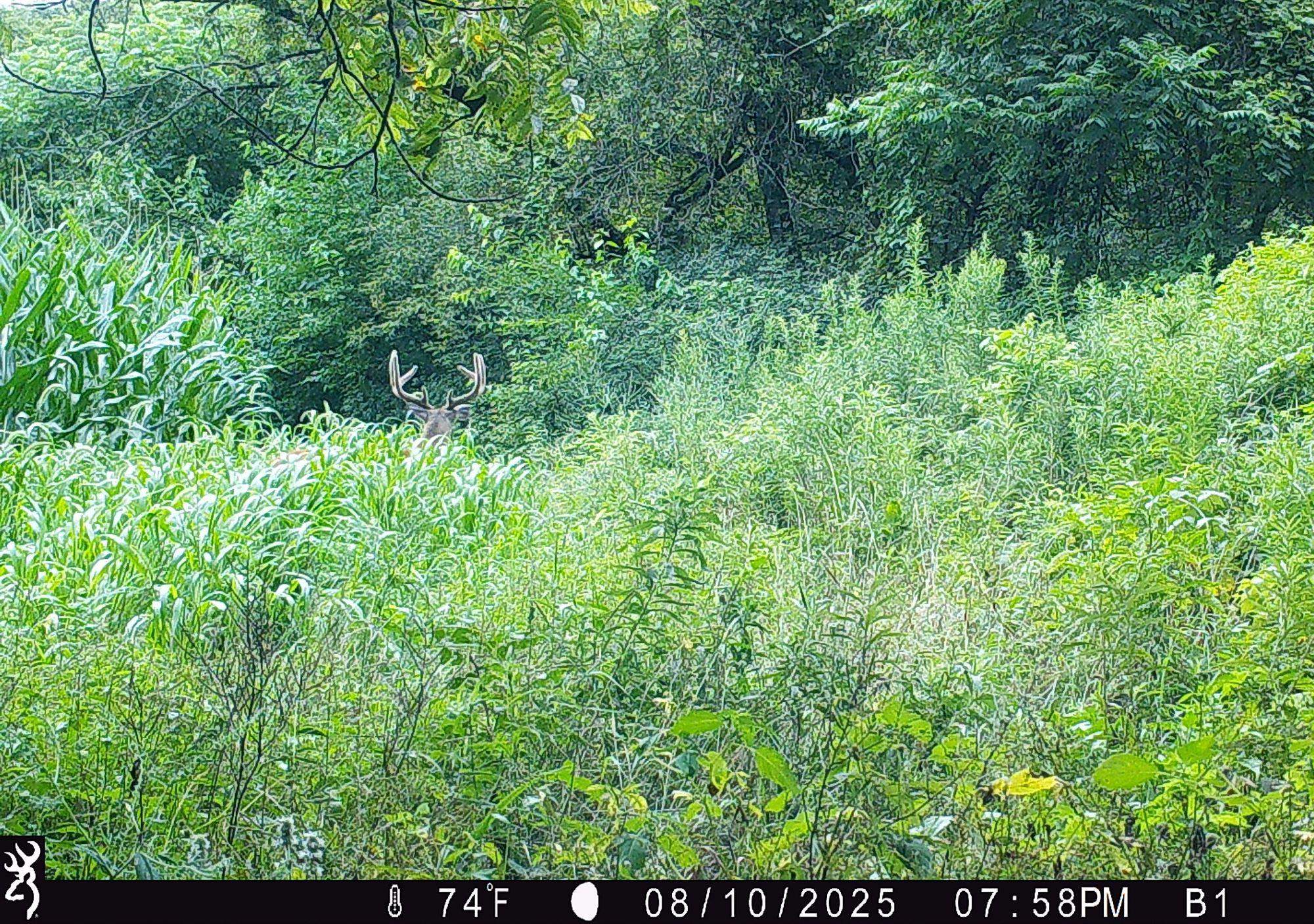 46113 Sand Creek Road Gays Mills, WI 54631 - Photo 49 of 49