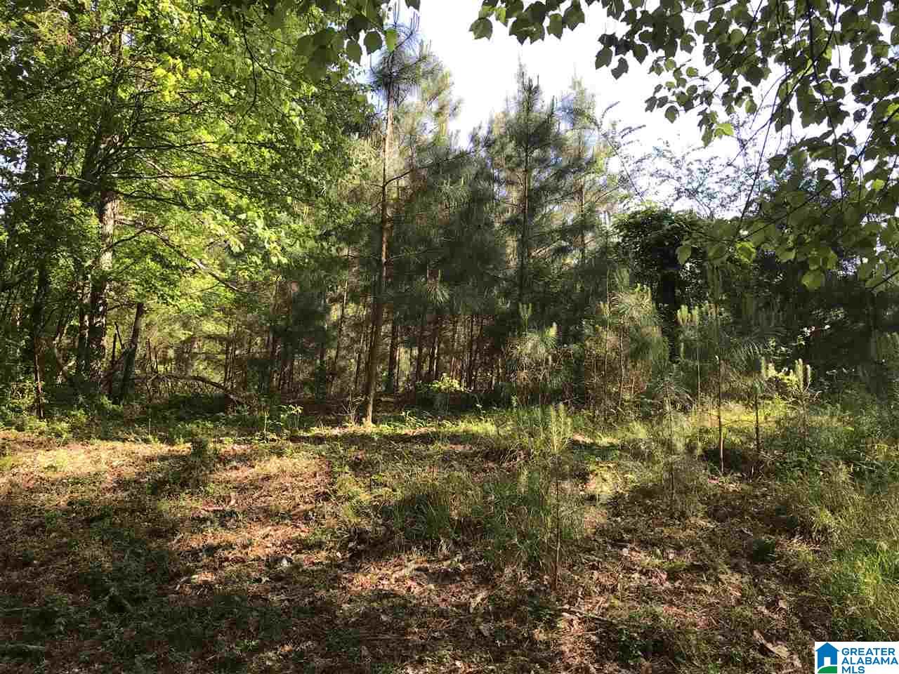 0 Steele Gap Road North, Unit 11 4 Steele, AL 35987 - Photo 21 of 26