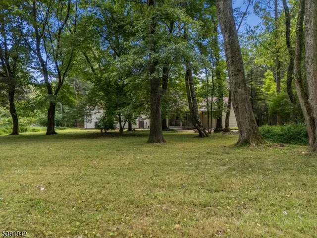 a view of outdoor space with deck and trees