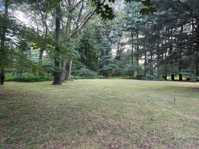 a view of outdoor space with trees