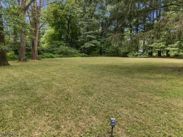 a view of a field with trees