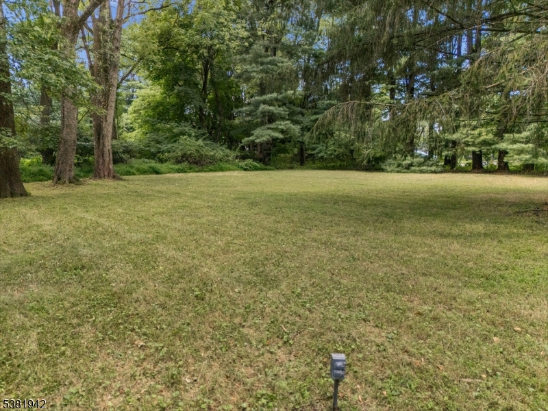 478 Charlestown Road Hampton, NJ 08827 - Photo 40 of 44 a view of a field with trees