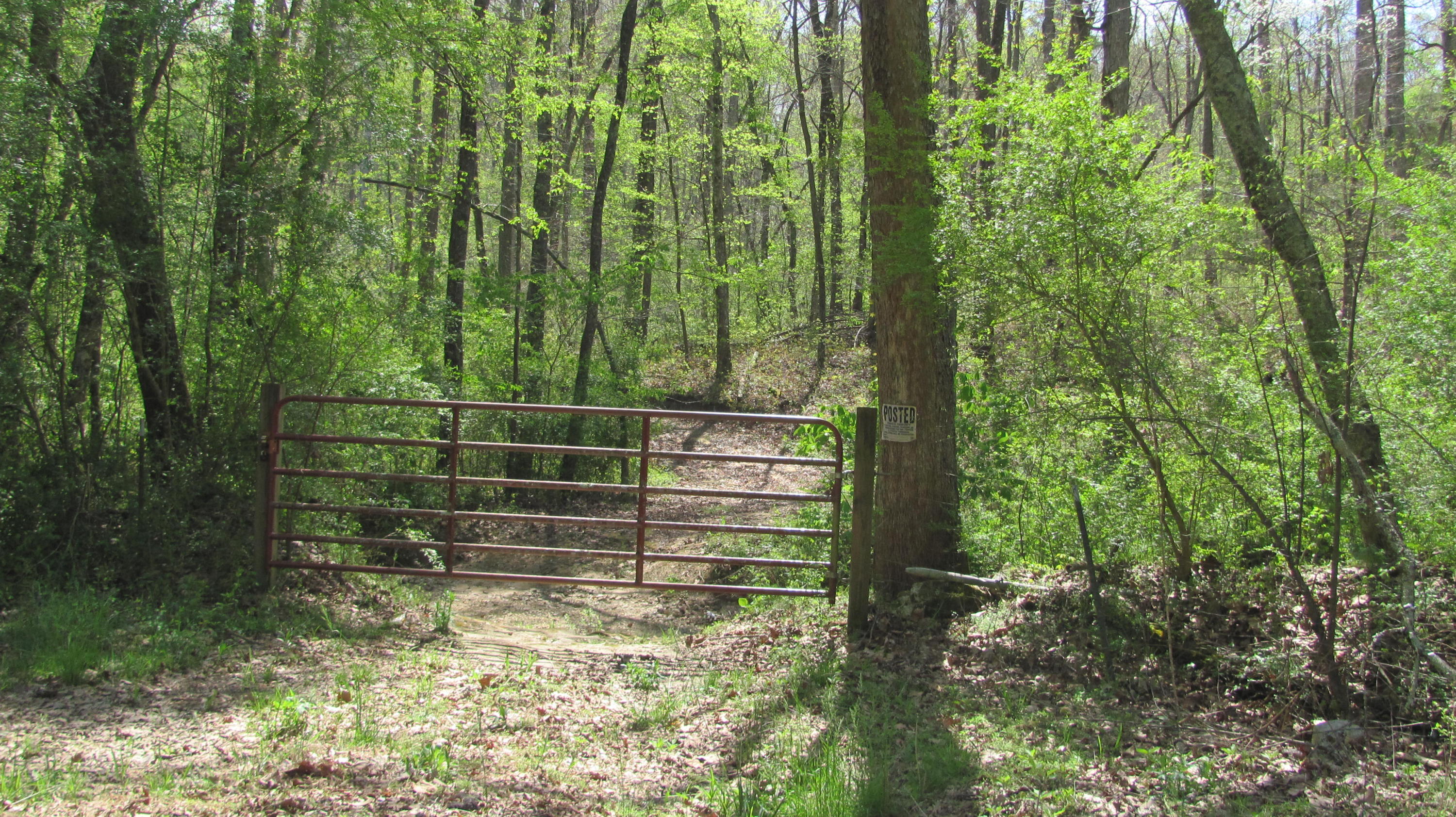0 Ross Hollow Road, Unit 16 Ringgold, GA 30736 - Photo 1 of 4 IMG_6328