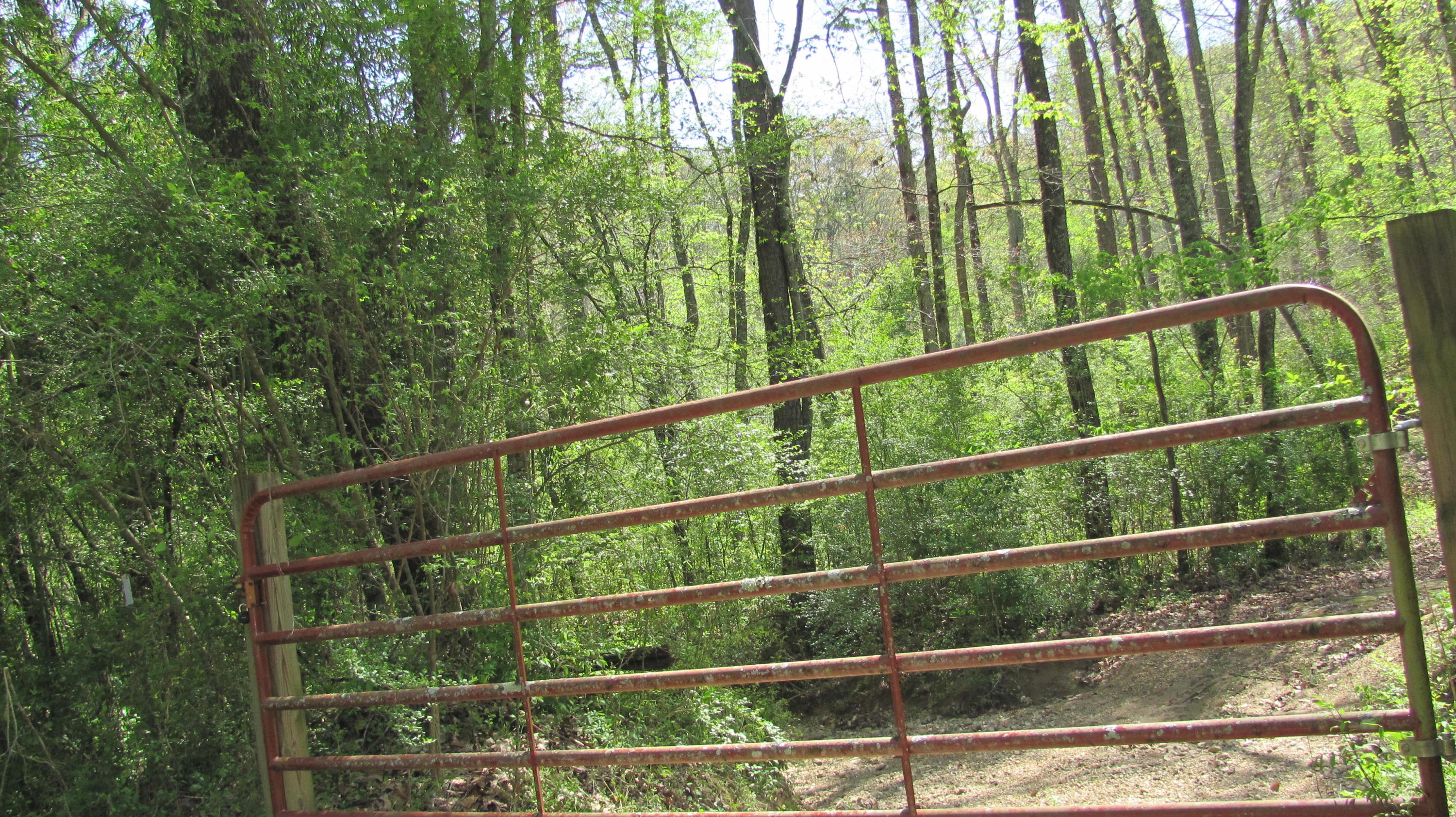 0 Ross Hollow Road, Unit 16 Ringgold, GA 30736 - Photo 4 of 4 IMG_6331