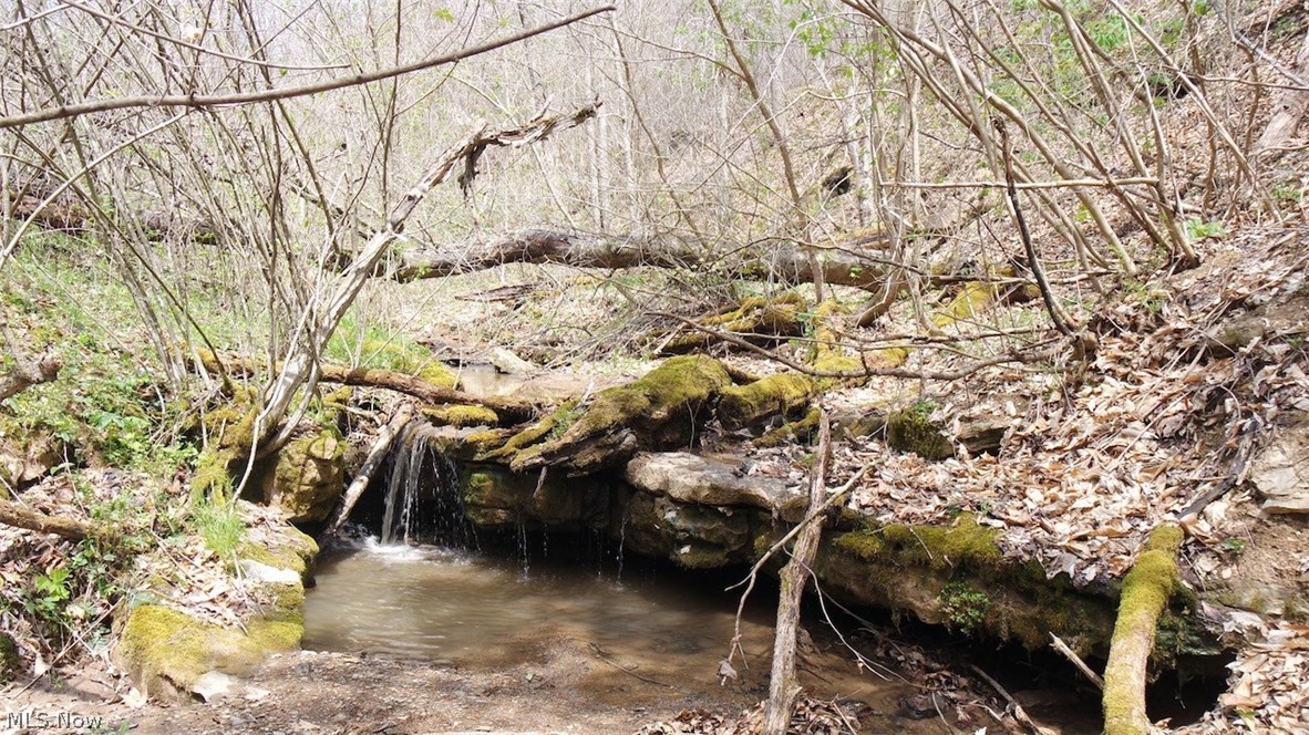 Mt Hope Ridge Road Graysville, OH 45734 - Photo 12 of 21 Gallery Image 12