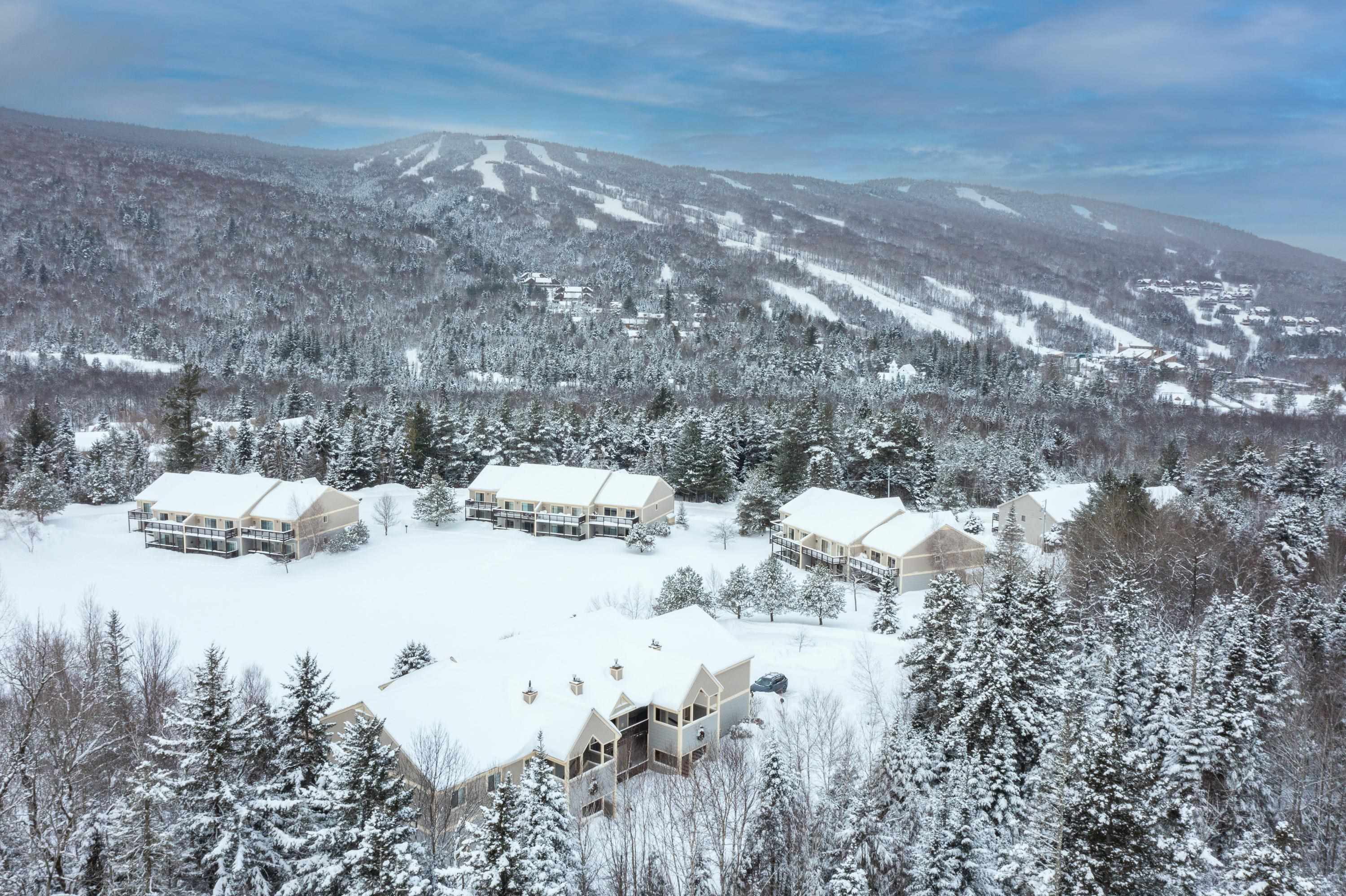 40 Stickney Way, Unit 17 Carroll, NH 03595 - Photo 1 of 44