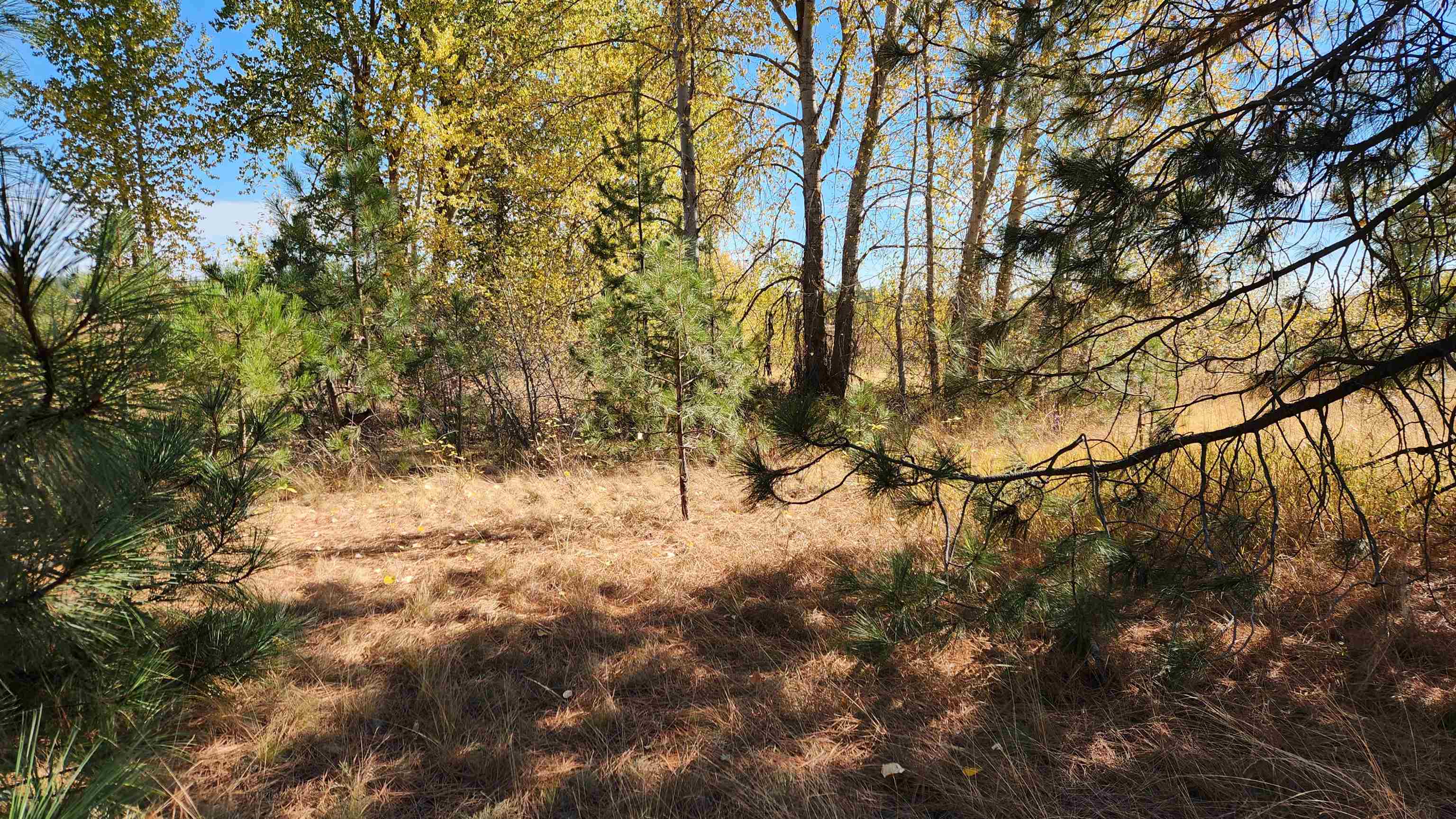 33818 A Spring Creek Road Deer Park, WA 99006 - Photo 18 of 26 Gallery Image 18