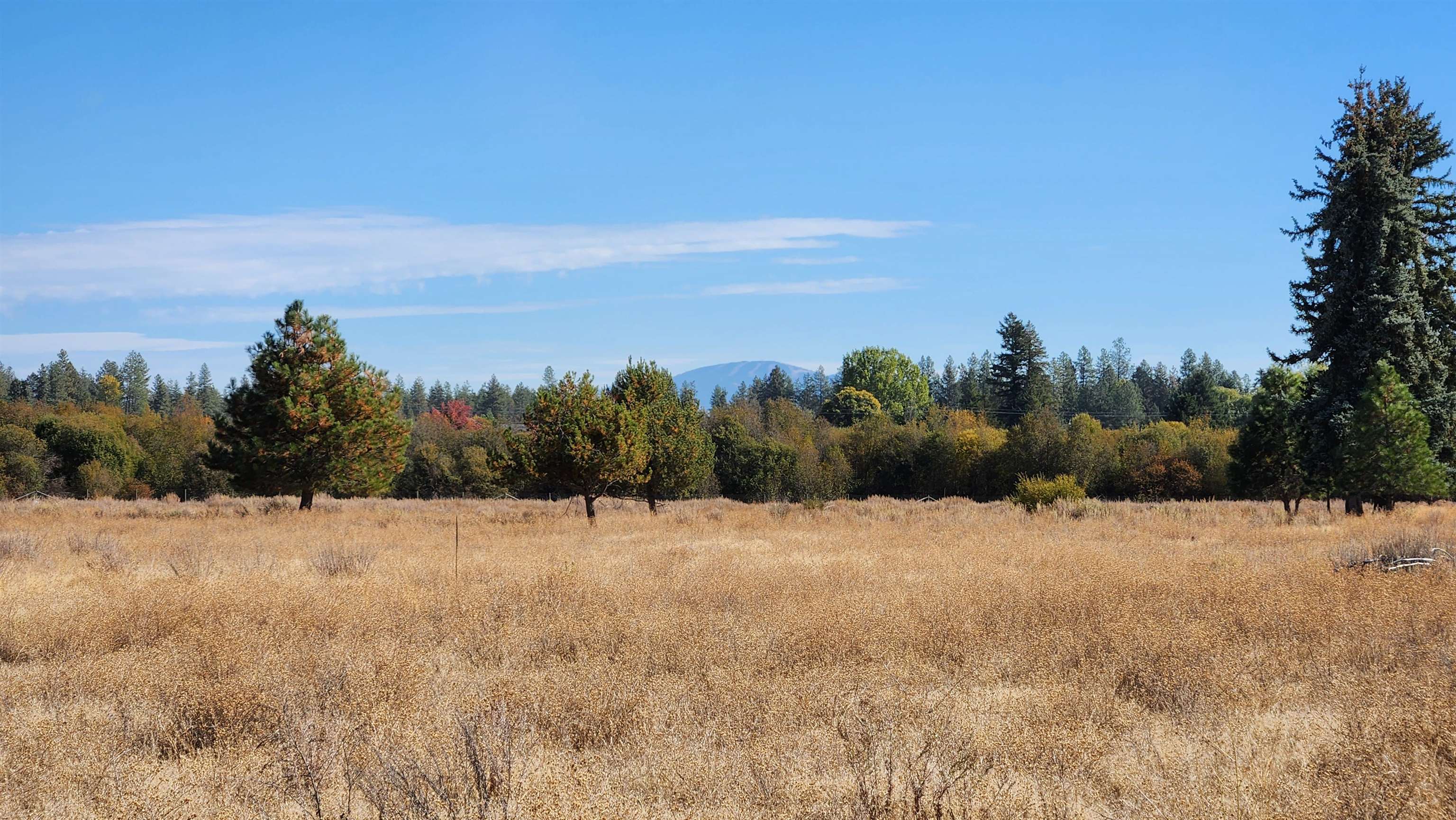 33818 A Spring Creek Road Deer Park, WA 99006 - Photo 2 of 26 Gallery Image 2