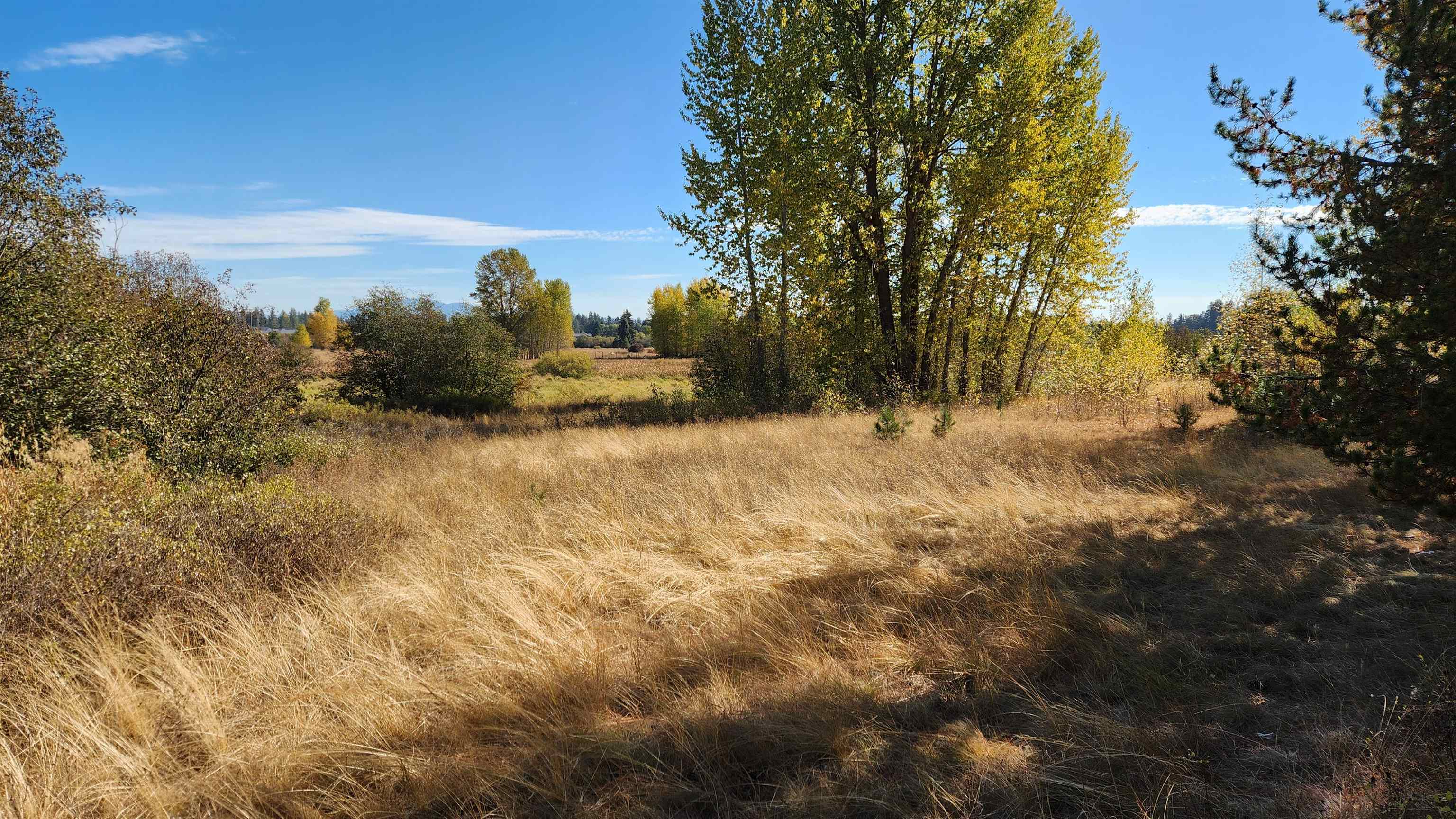 33818 A Spring Creek Road Deer Park, WA 99006 - Photo 21 of 26 Gallery Image 21