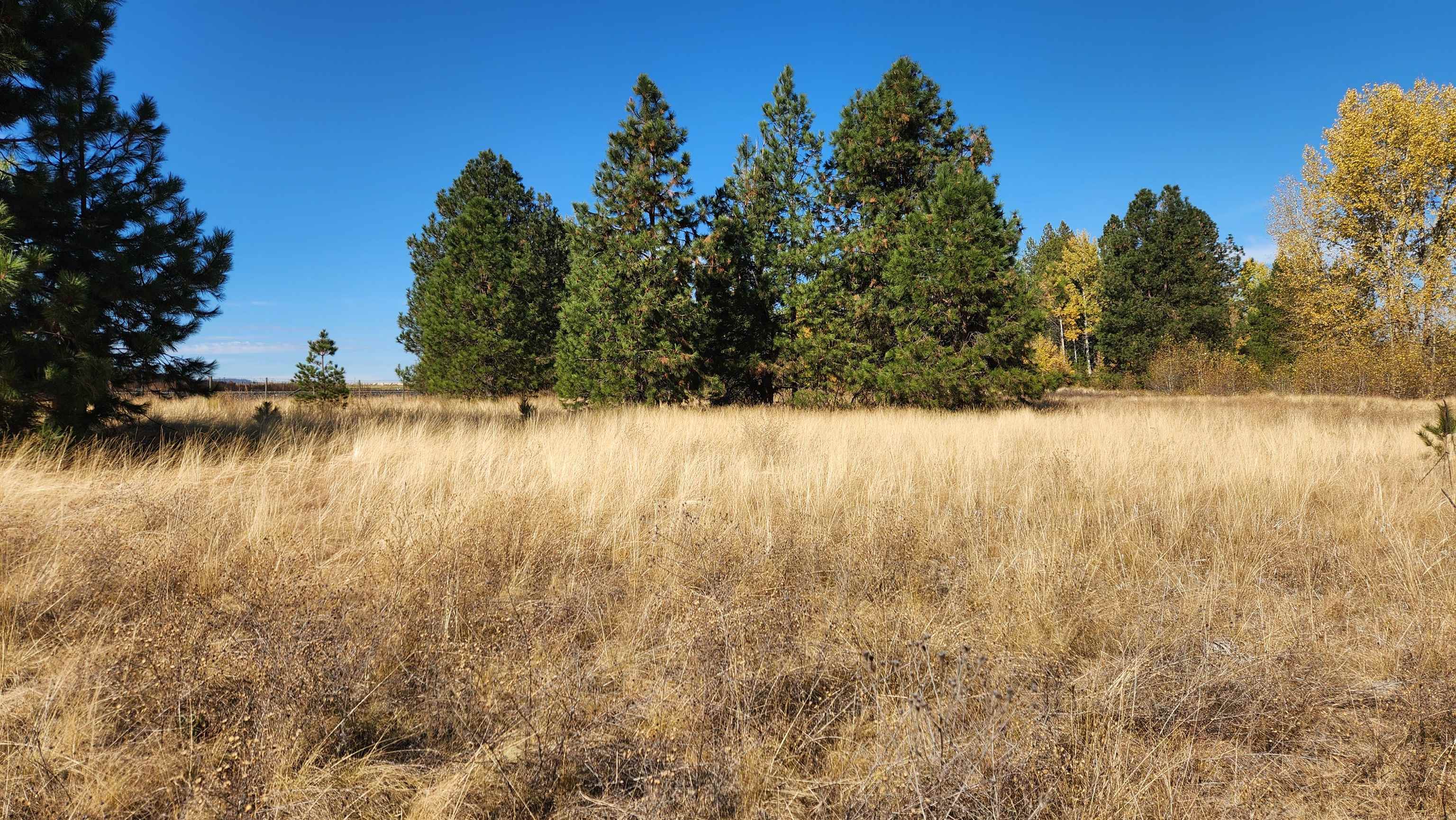 33818 A Spring Creek Road Deer Park, WA 99006 - Photo 24 of 26 Gallery Image 24
