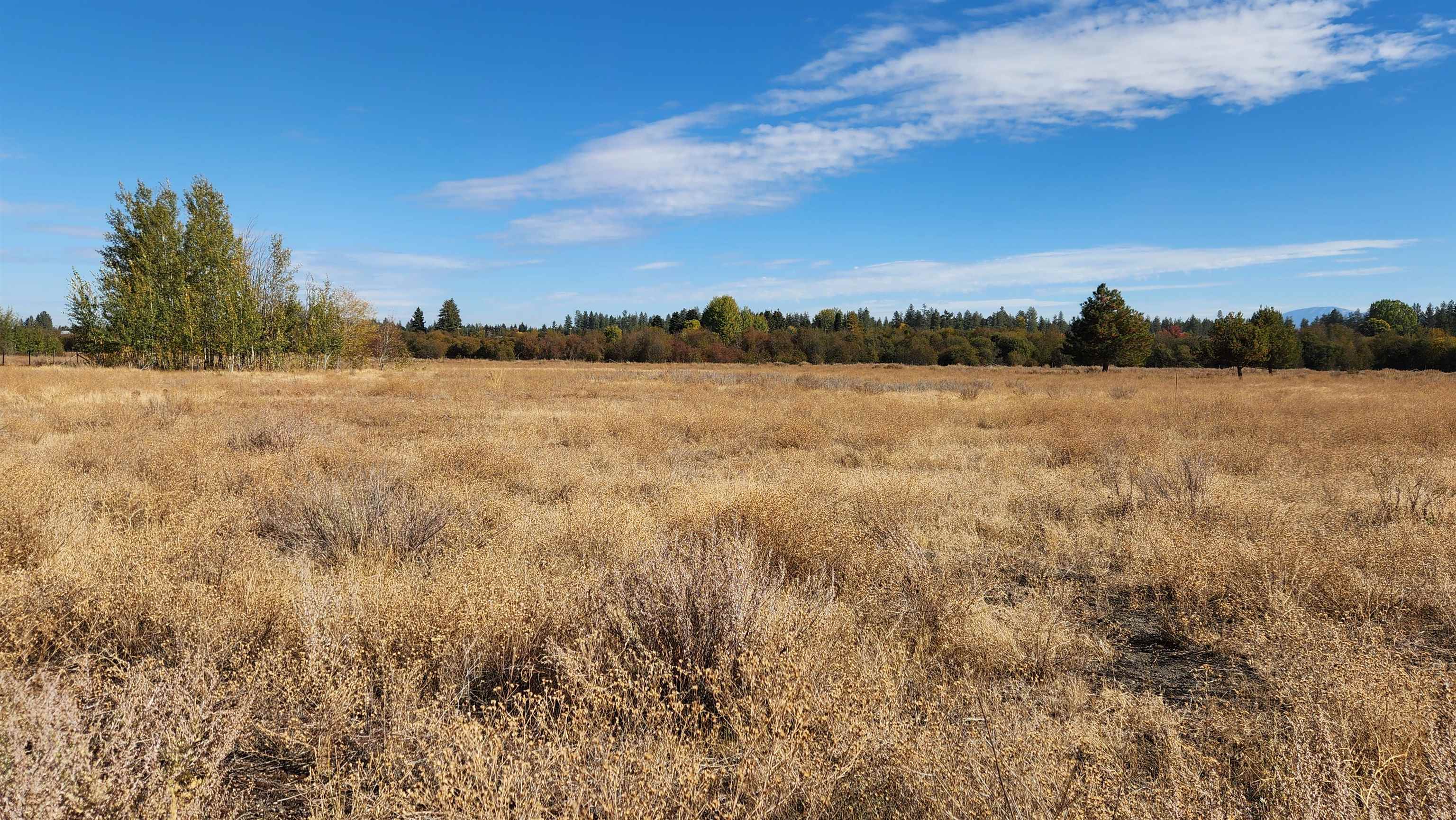 33818 A Spring Creek Road Deer Park, WA 99006 - Photo 4 of 26 Gallery Image 4