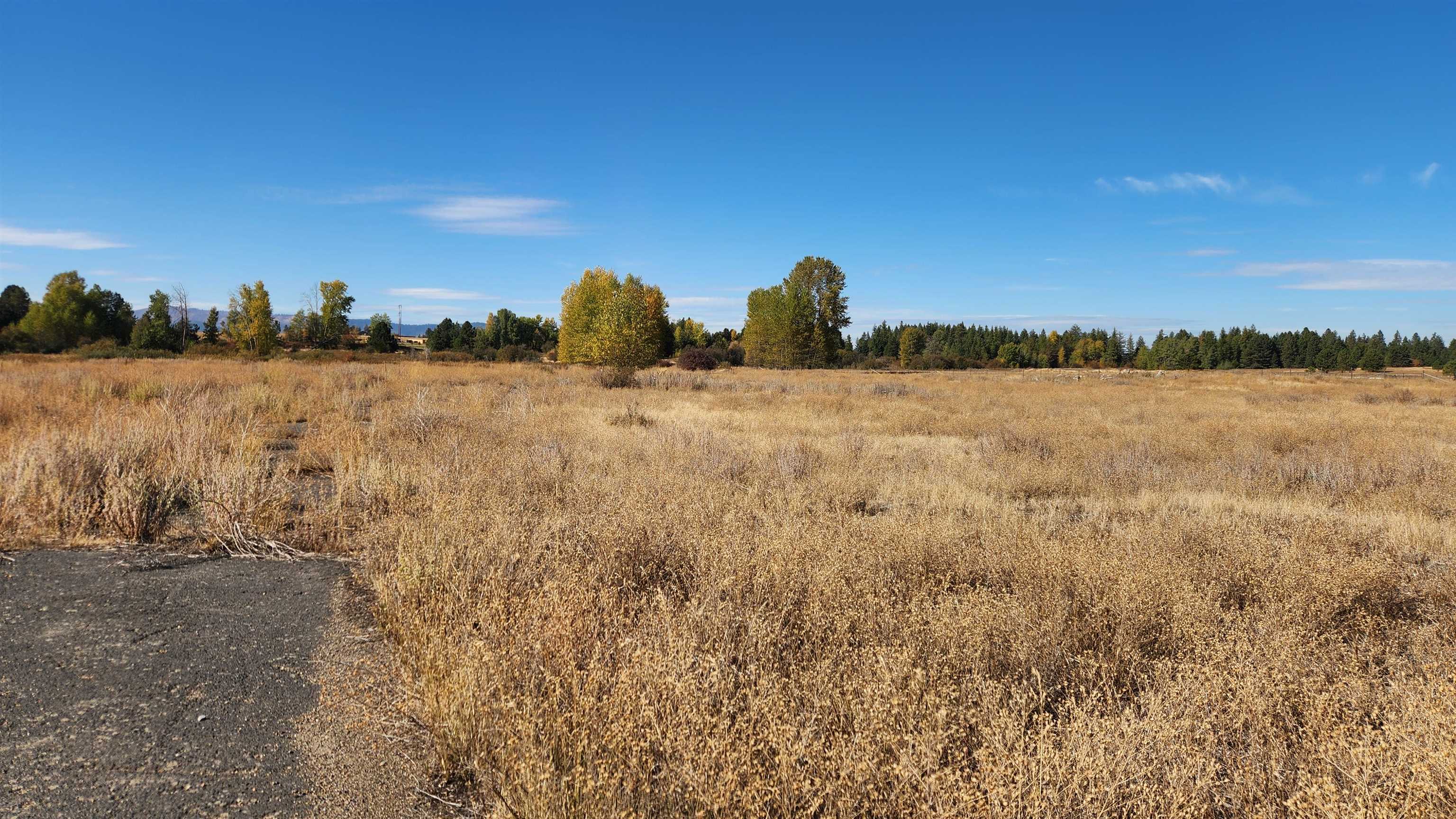 33818 A Spring Creek Road Deer Park, WA 99006 - Photo 10 of 26 Gallery Image 10