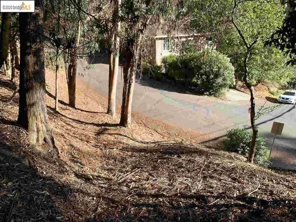 a view of a yard with large tree