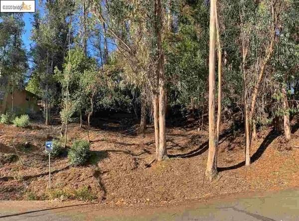 a view of a backyard of the house