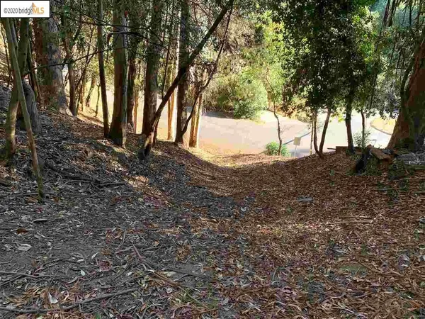 a view of outdoor space with trees