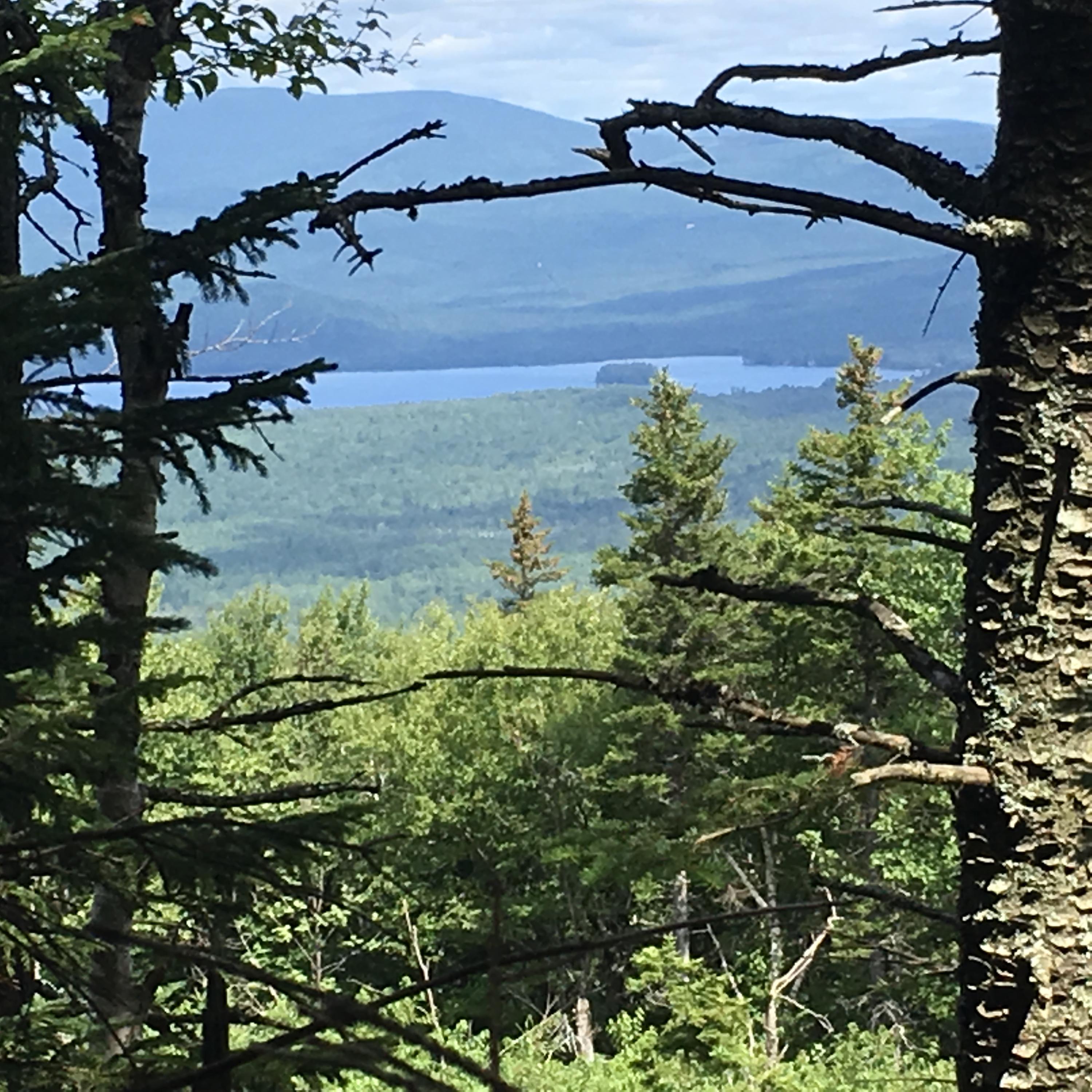 0 Tower Road Rumford, ME 04276 - Photo 15 of 34 F29AD39E-8F43-4688-9341-6A6E9E946BF4