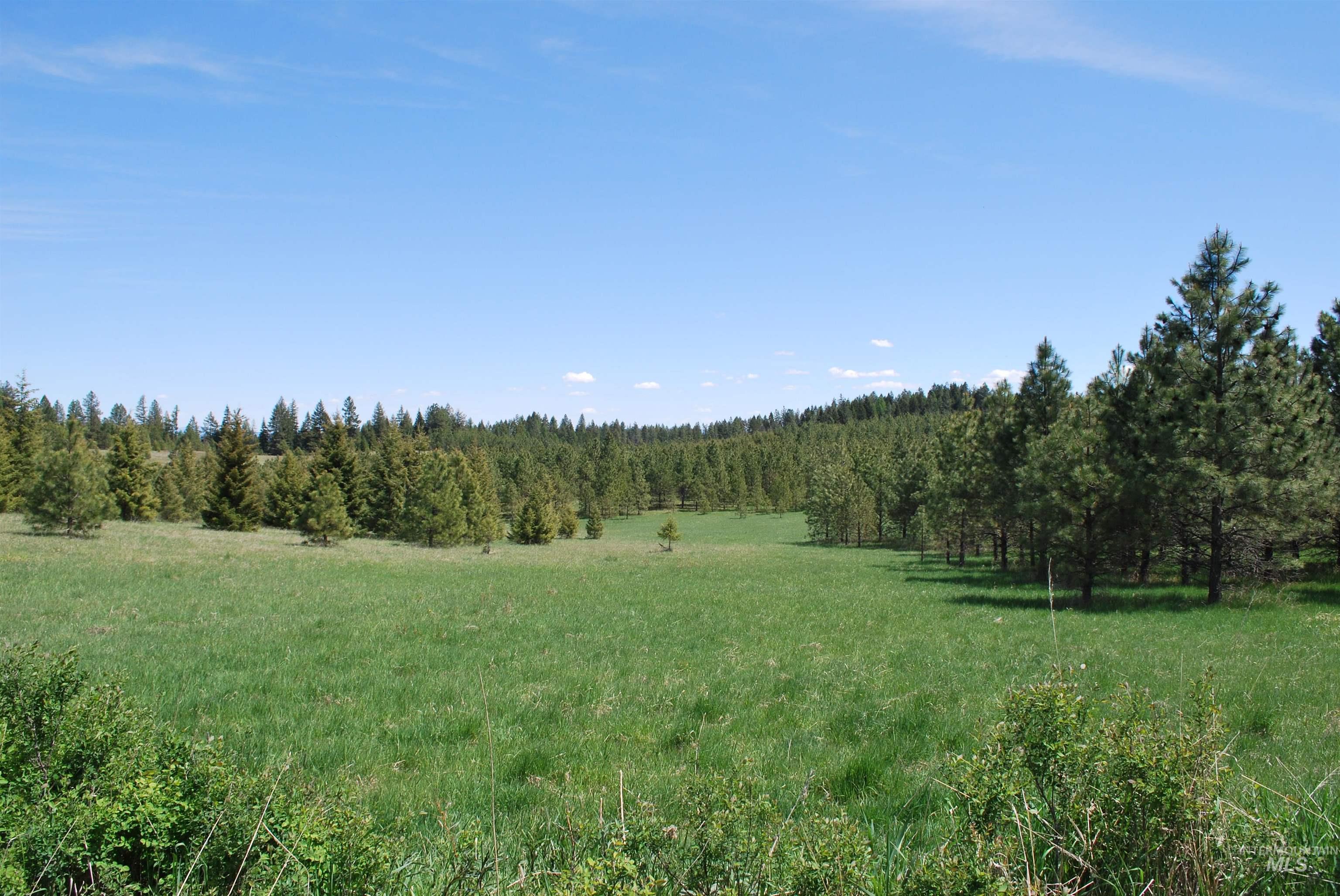 Tbd Middle Road Ahsahka, ID 83520 - Photo 29 of 31