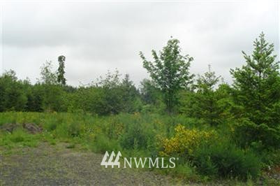 0000 Haywire Road Napavine, WA 98532 - Photo 1 of 1