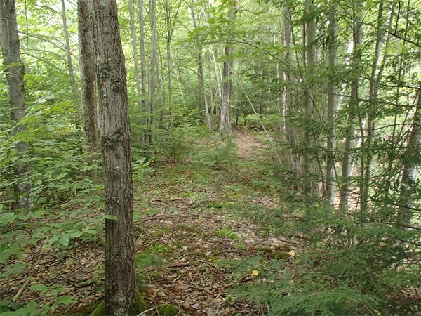 276 S Road Heath, MA 01346 - Photo 8 of 12 Gallery Image 8