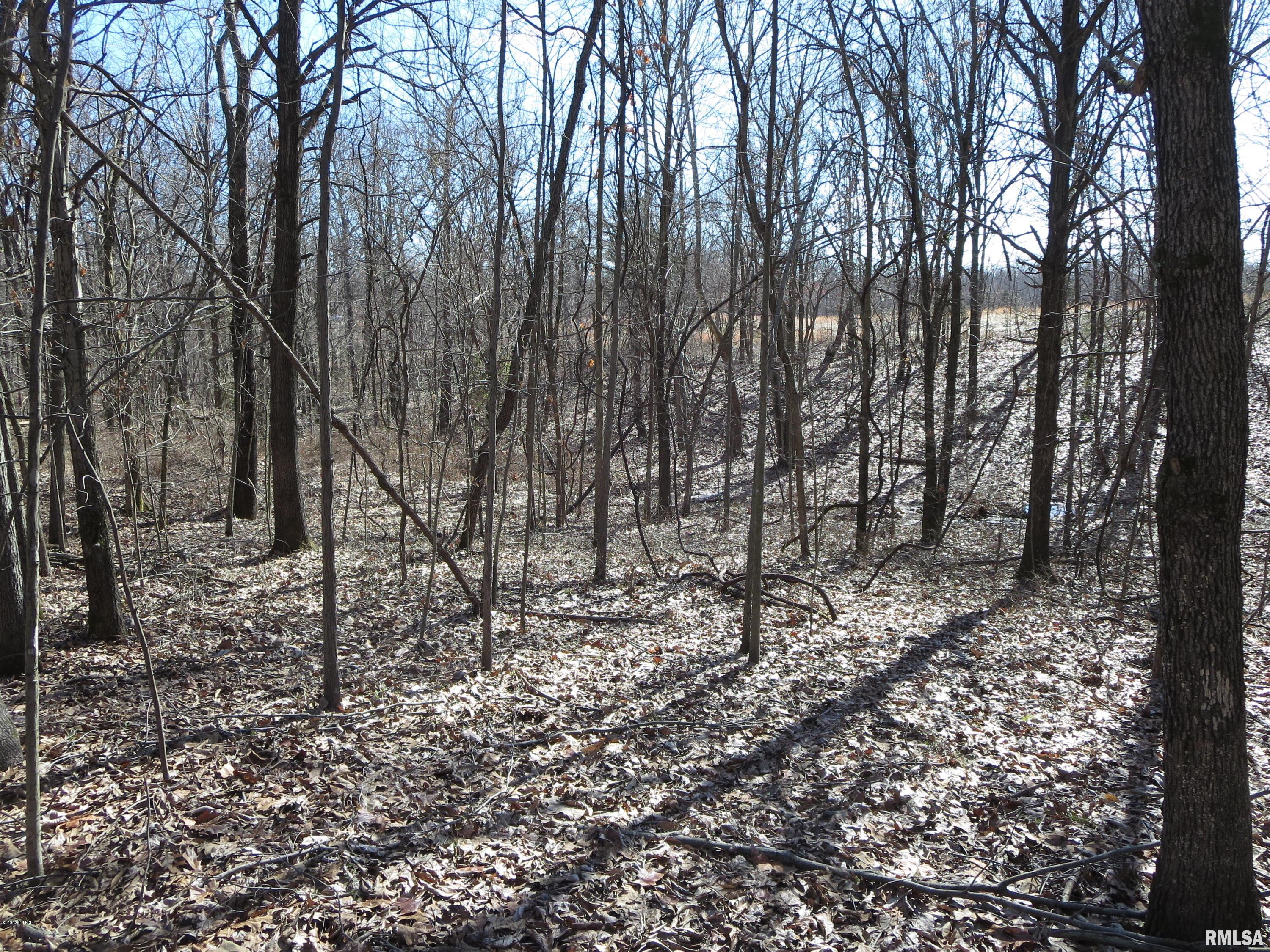 0 Jordans Fort Road Pittsburg, IL 62974 - Photo 11 of 20