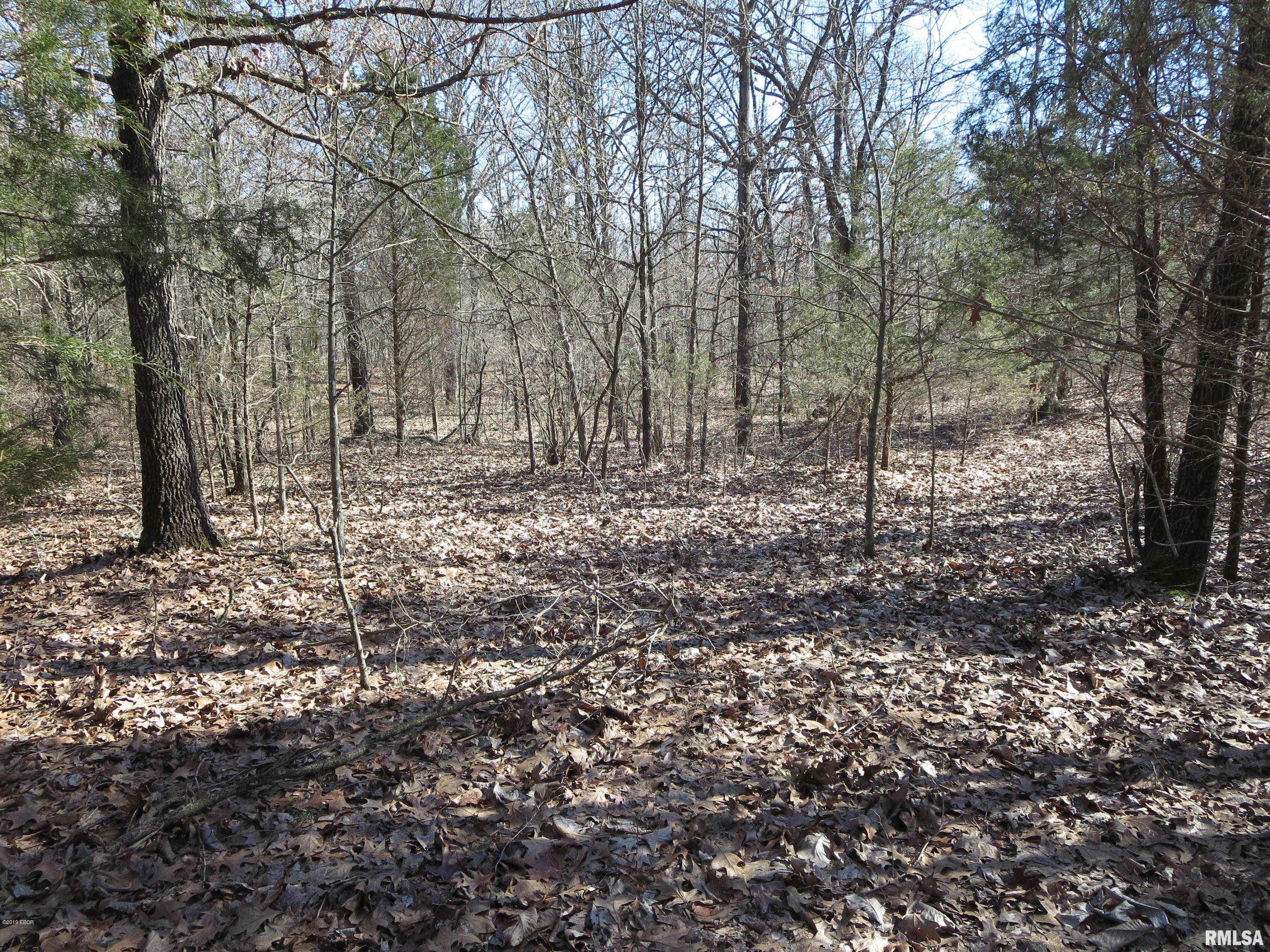 0 Jordans Fort Road Pittsburg, IL 62974 - Photo 12 of 20