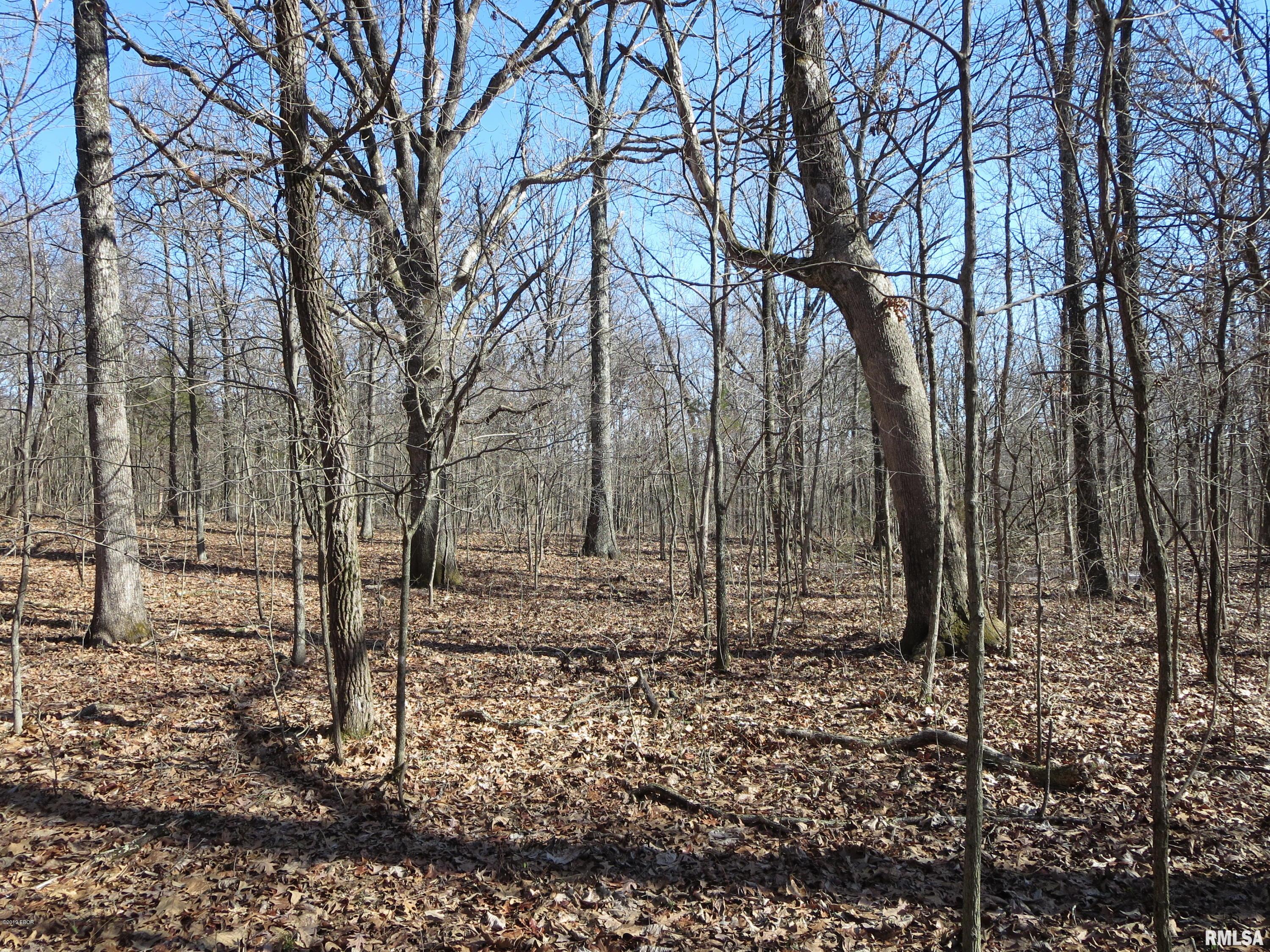 0 Jordans Fort Road Pittsburg, IL 62974 - Photo 13 of 20