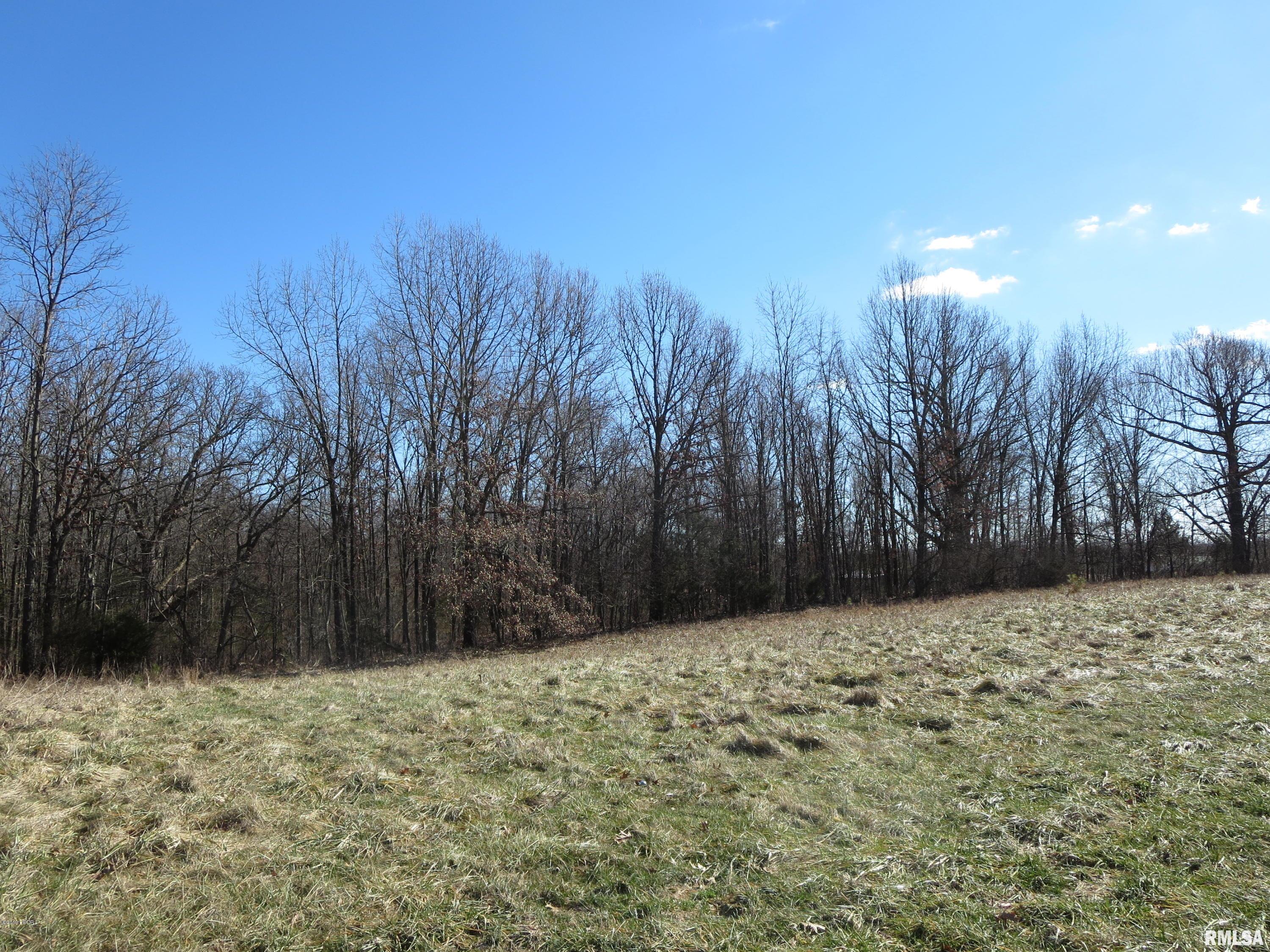 0 Jordans Fort Road Pittsburg, IL 62974 - Photo 4 of 20